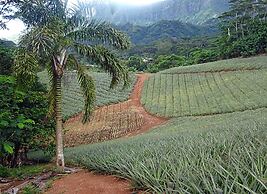 Moorea - Paopao Pool Mountain