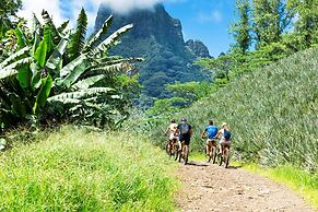 Moorea - Paopao Pool Mountain
