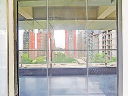 Collection O Palampur Surat