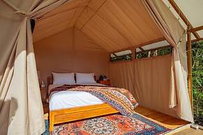 Green Lava Glamping Bedugul