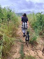 The Nest Pai Love Resort