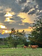 The Nest Pai Love Resort