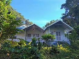 Rain Forest Resort - Munnar