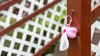 Evergreen Pet-friendly Pension, Taean