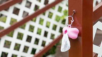Evergreen Pet-friendly Pension, Taean