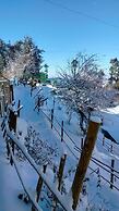 Snow Adventure Resort