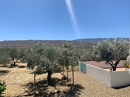 Quality Rustic Retreat in Tabernas Countryside