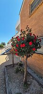 Molong Motor Inn