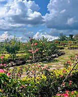 El Resort de Yanashpa - Tarapoto