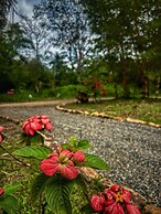 El Resort de Yanashpa - Tarapoto