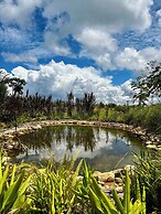 El Resort de Yanashpa - Tarapoto
