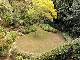 French Elegance in Bishopscourt