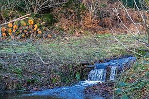 Bracken Ground