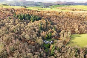 Bracken Ground