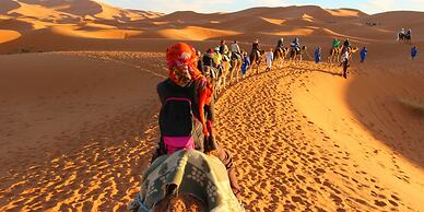 Sahara dunes Luxury Camp