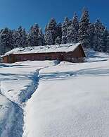 Hotel Roseland Cottage Gulmarg