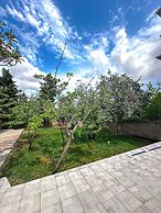 Central Vip Villa