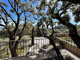 Clos des Cassis