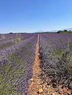 Clos des Cassis