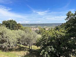 Clos des Cassis