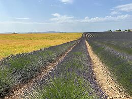 Clos des Cassis