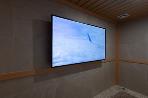 Stay Passport Airplane Guri