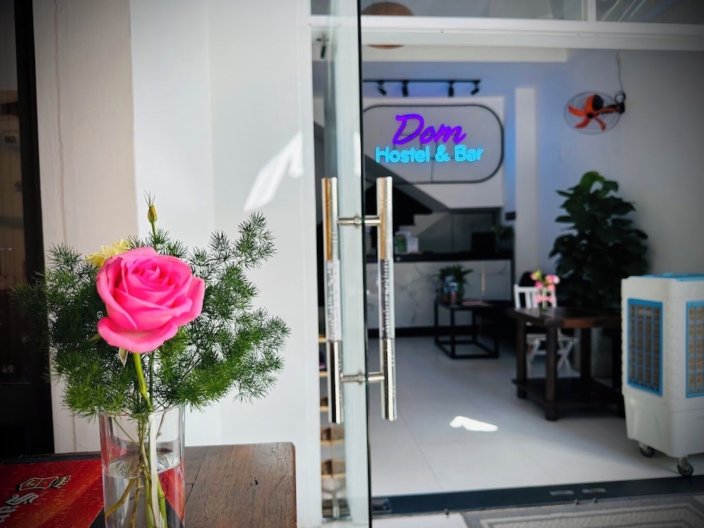 Dom Hostel and Bar