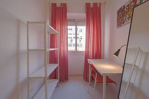 Alameda Typical by Homing