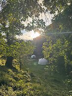 Epífita Glamping Monteverde