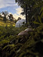 Epífita Glamping Monteverde