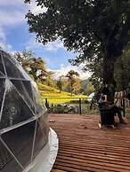 Epífita Glamping Monteverde