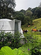 Epífita Glamping Monteverde