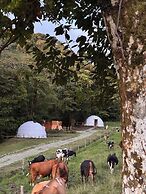 Epífita Glamping Monteverde