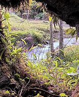 Epífita Glamping Monteverde