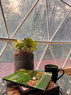 Epífita Glamping Monteverde