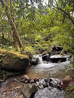 Epífita Glamping Monteverde