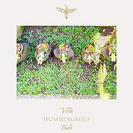 Villa Hummingbird Ubud