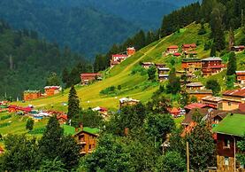 Yeşil Düş Bungalov