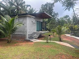 Darisa Home