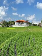 Padi breeze guesthouse pererenan