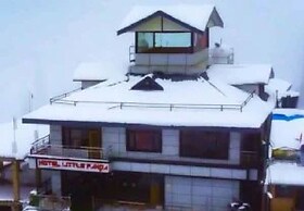 Hotel Little Panda - Narkanda