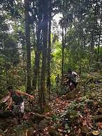 Tappers' Village Nature Resort