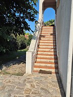 LES AGRUMES