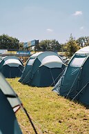 Bronze  Camping