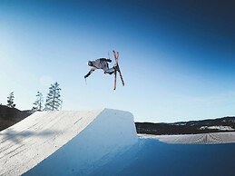 Forest bow - Stylish, to Ski Centers and Hiking Trails