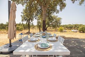 Alma Alentejo Villa in Odemira