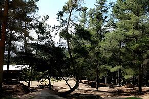 Cabañas del Cerro 3