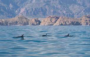 Villa del Palmar Islands of Loreto