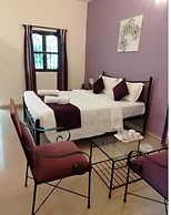 3 Olives Mandrem Goa