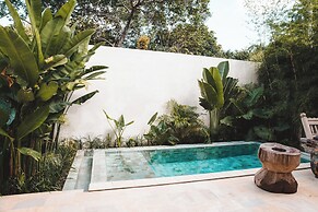 The Soko Bali